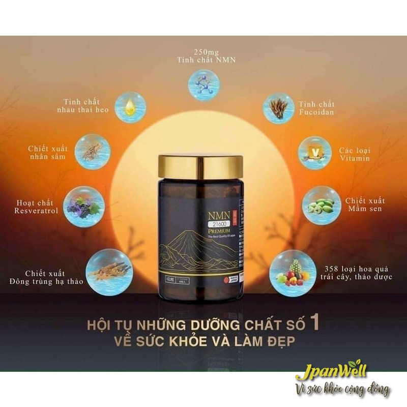 Những dưỡng chất quý hội tụ trong viên uống NMN Premium 21600