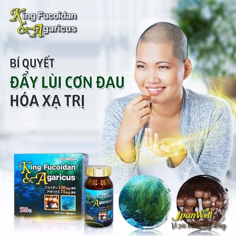 Uống King Fucoidan Agaricus để điều trị bệnh nên uống đúng liều theo chỉ dẫn