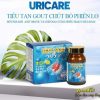 Uricare tiêu tan gout được các chuyên gia khuyên dùng