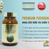 Sử dụng Premium Fucoidan tự tin chiến thắng ung thư