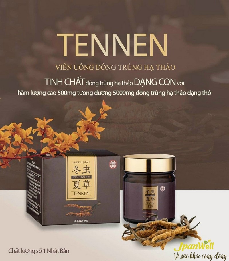 TENNEN chứa đông trùng hạ thảo quý hiếm với hàm lượng cao nhất 500mg