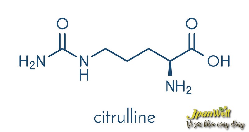 Cấu trúc phân tử của L-Citrulline