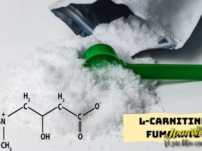 L-Carnitine Fumarate