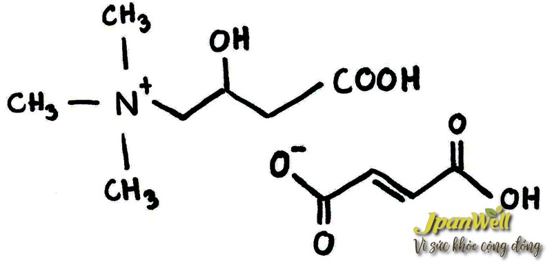 L-Carnitine Fumarate là một dạng axit amin 